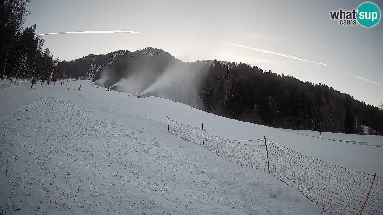 Esquí Kranjska Gora | Brsnina