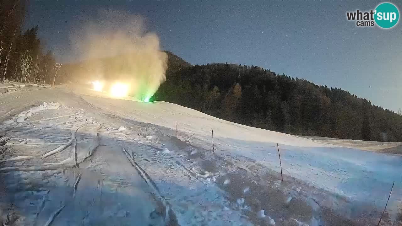 Esquí Kranjska Gora | Brsnina