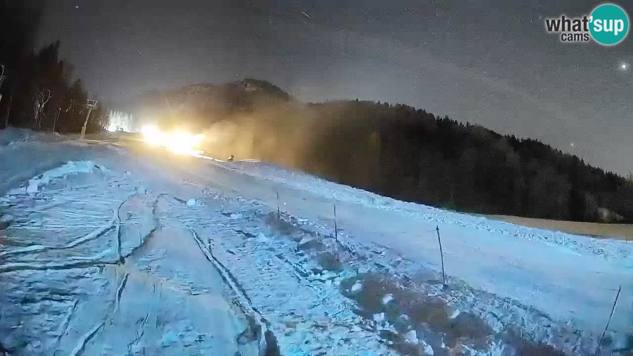 Esquí Kranjska Gora | Brsnina