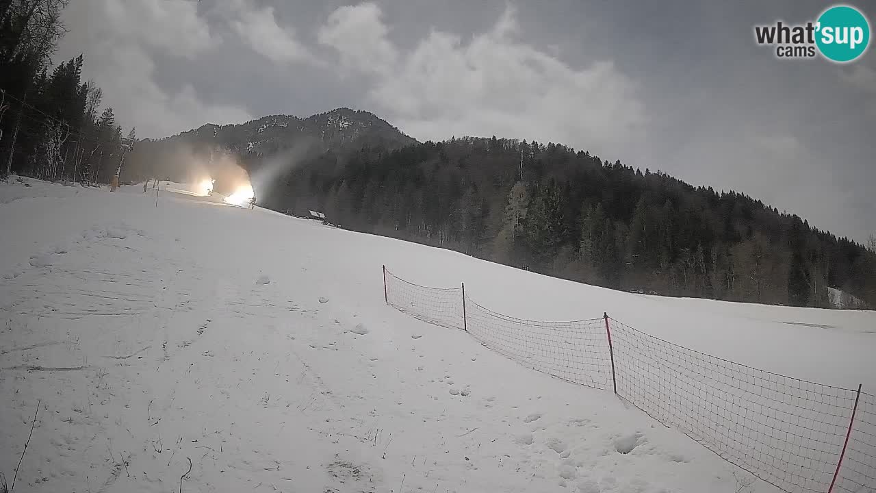 Kranjska Gora Station de ski | Brsnina