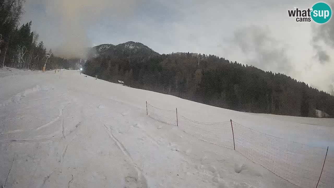 Ski Kranjska Gora | Brsnina