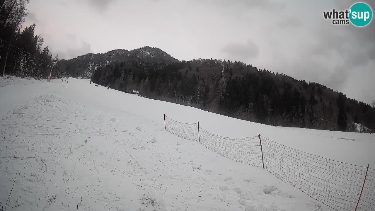 Esquí Kranjska Gora | Brsnina
