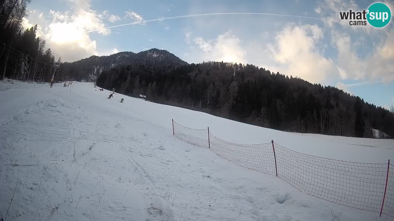 Kranjska Gora SKIJANJE | Brsnina