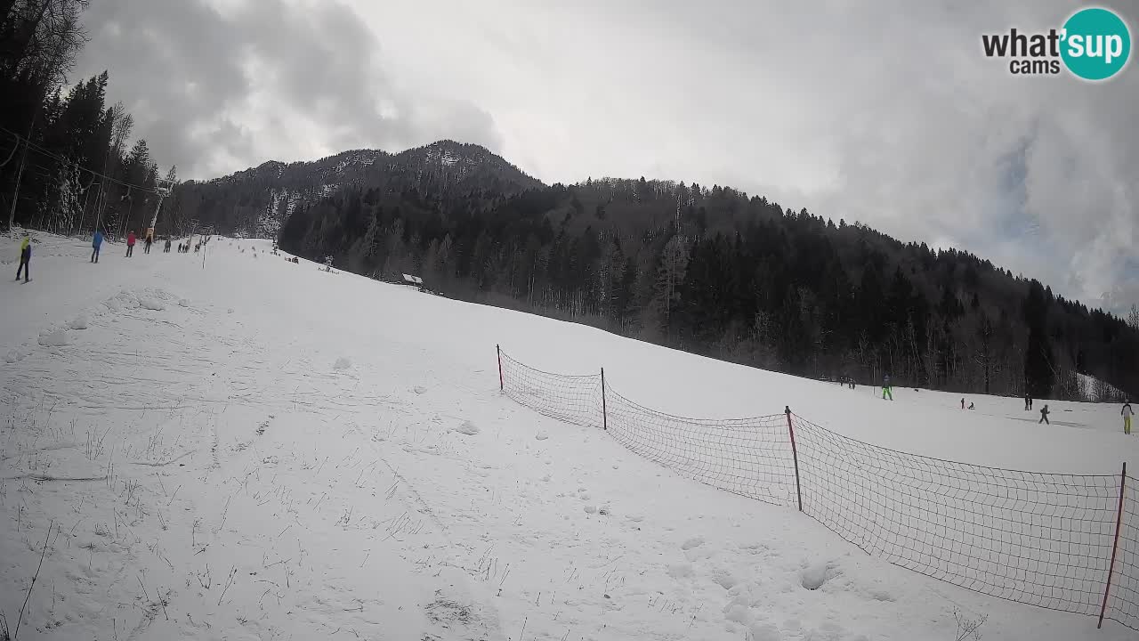 Kranjska Gora SKIJANJE | Brsnina