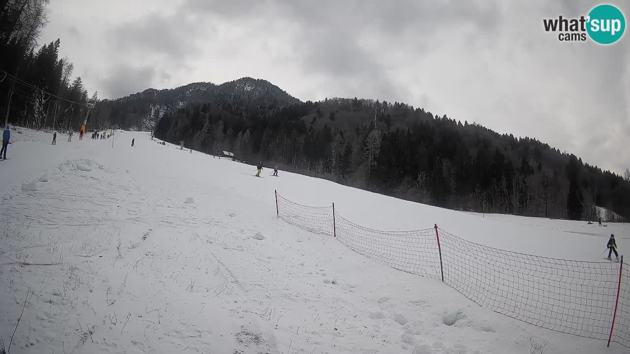 Ski Kranjska Gora | Brsnina