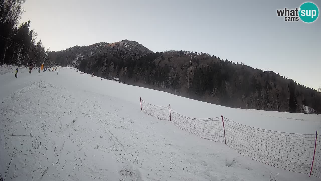Ski Kranjska Gora | Brsnina