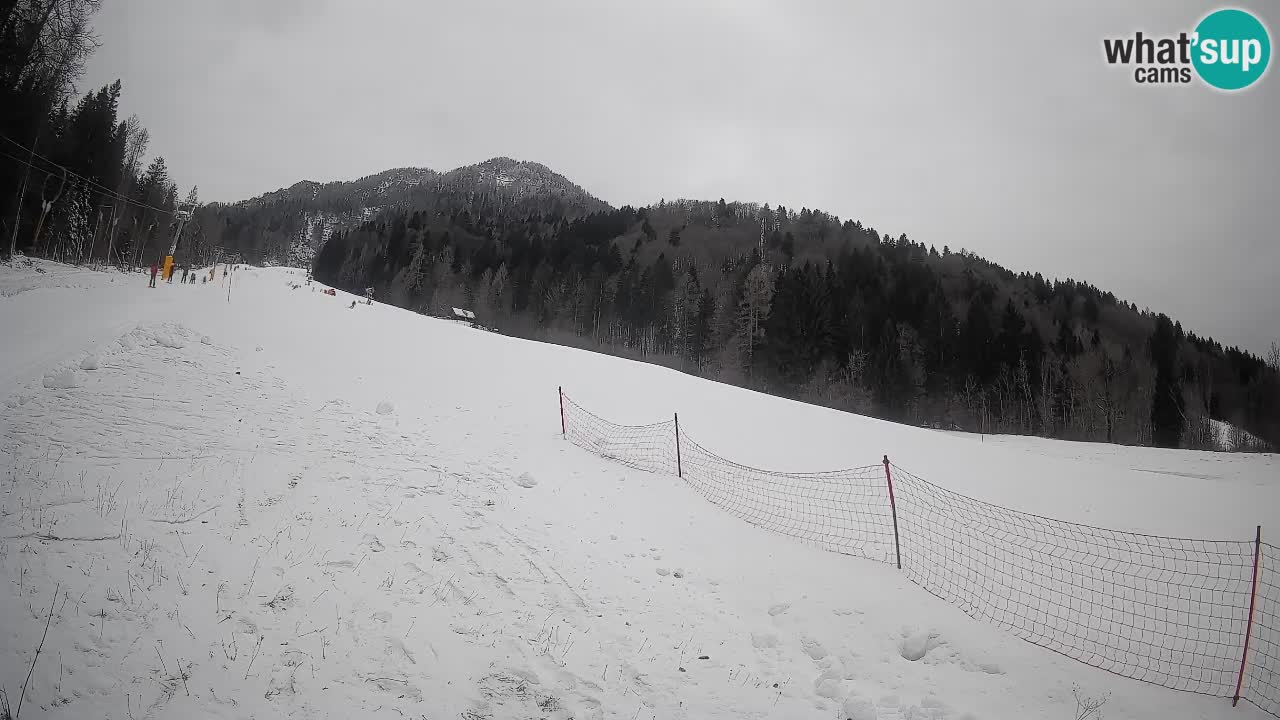 Esquí Kranjska Gora | Brsnina