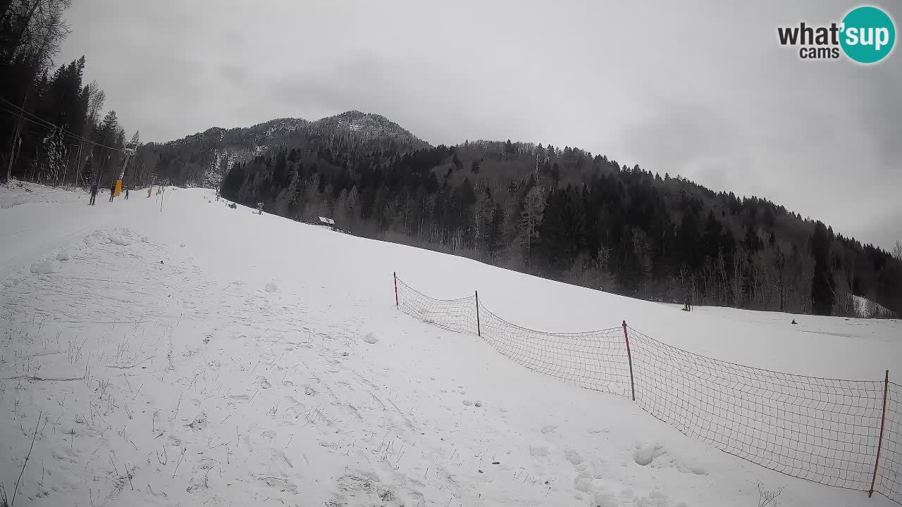 Esquí Kranjska Gora | Brsnina