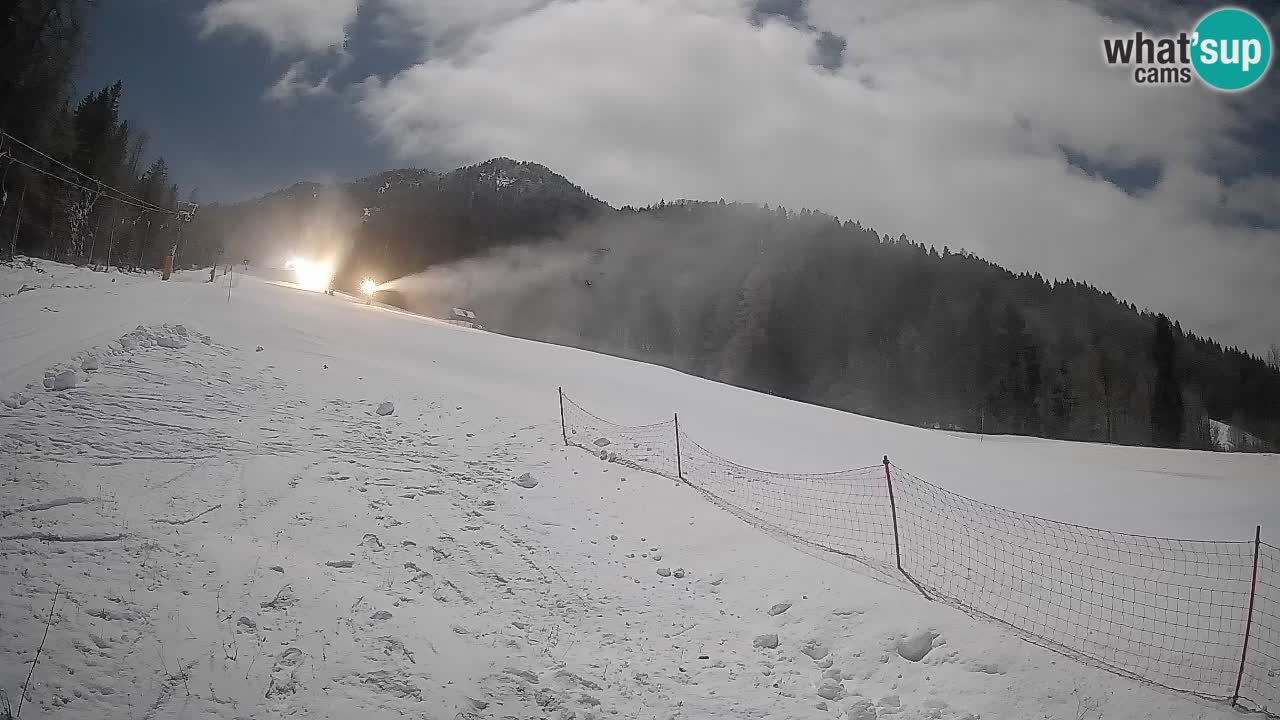 Esquí Kranjska Gora | Brsnina