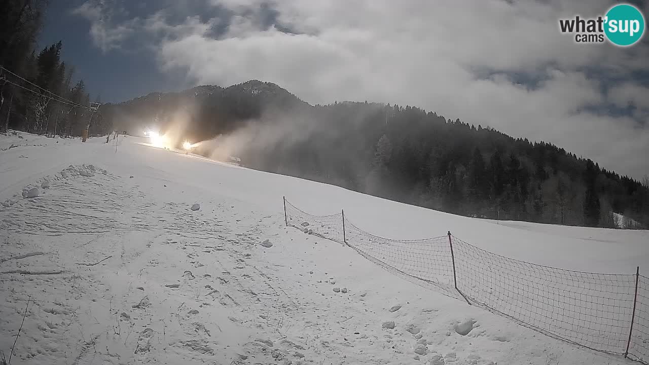 RTC Skigebiet Kranjska Gora | Brsnina