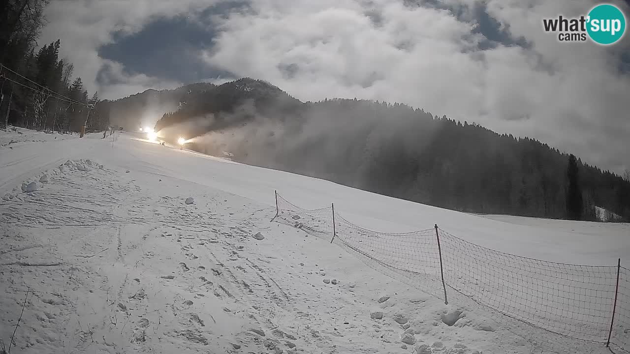 Kranjska Gora Station de ski | Brsnina