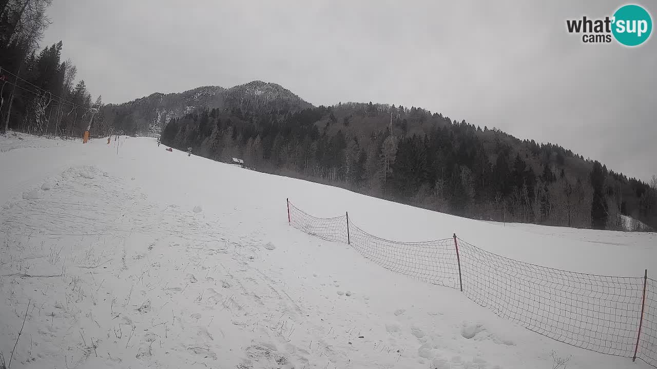 Ski Kranjska Gora | Brsnina