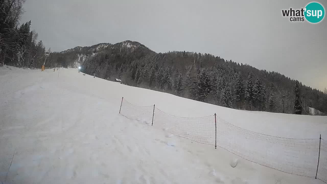 Esquí Kranjska Gora | Brsnina