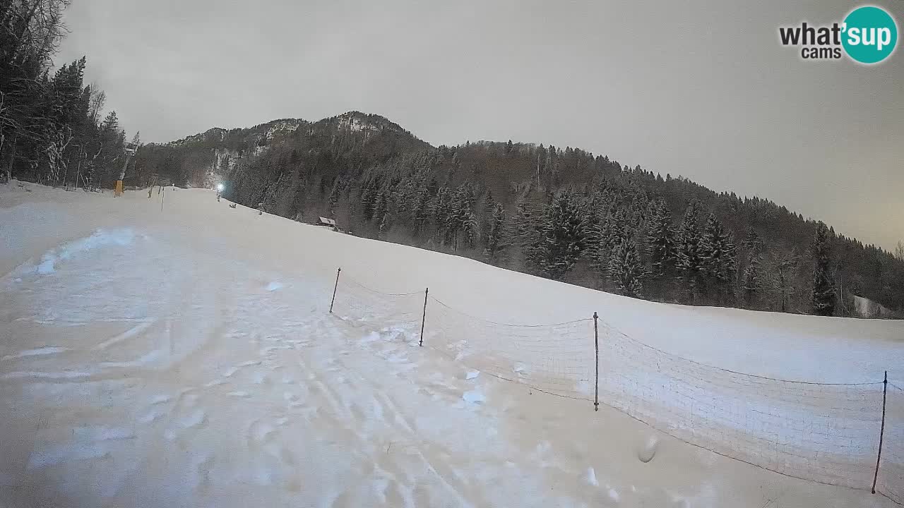 Kranjska Gora Station de ski | Brsnina