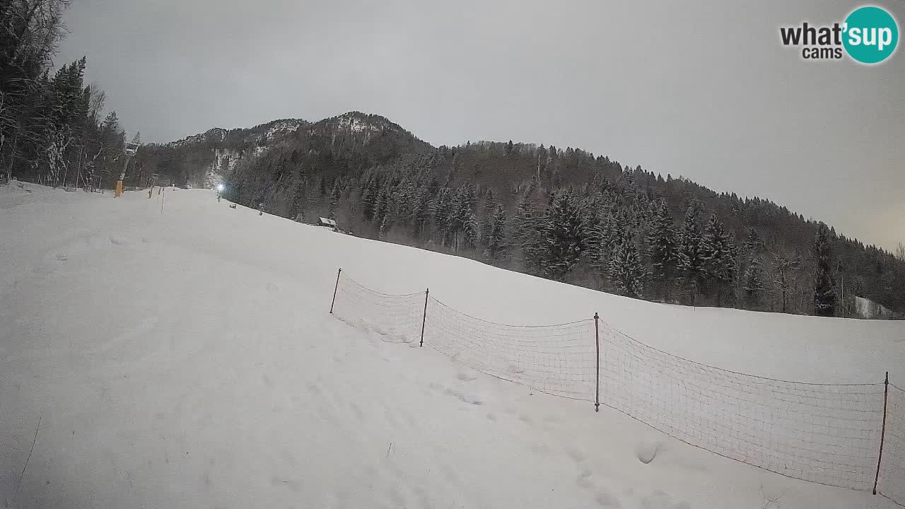 Ski Kranjska Gora | Brsnina