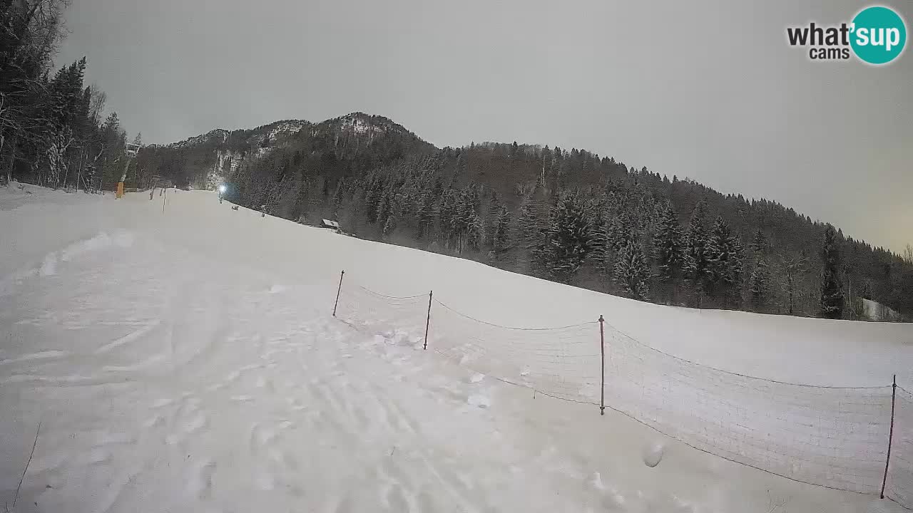 Kranjska Gora SKIJANJE | Brsnina