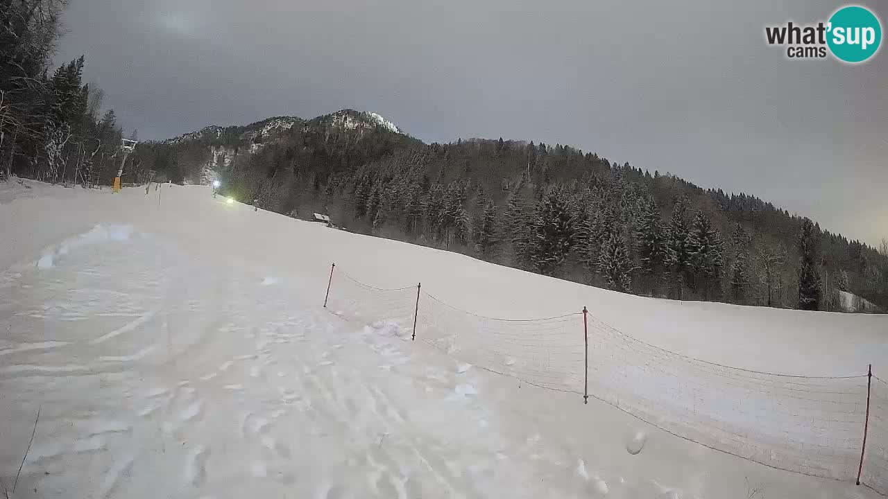 Kranjska Gora Station de ski | Brsnina