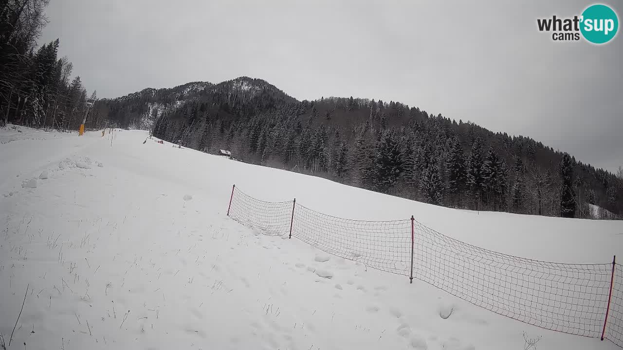 Ski Kranjska Gora | Brsnina
