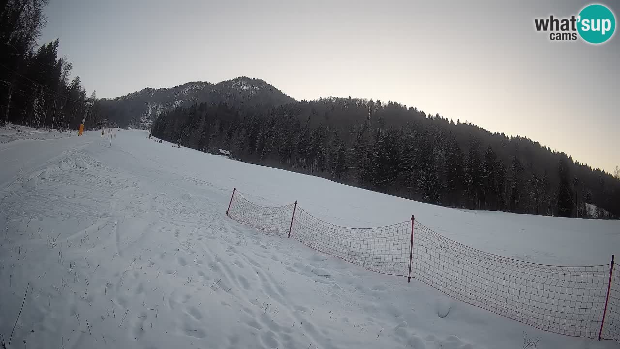 Ski Kranjska Gora | Brsnina