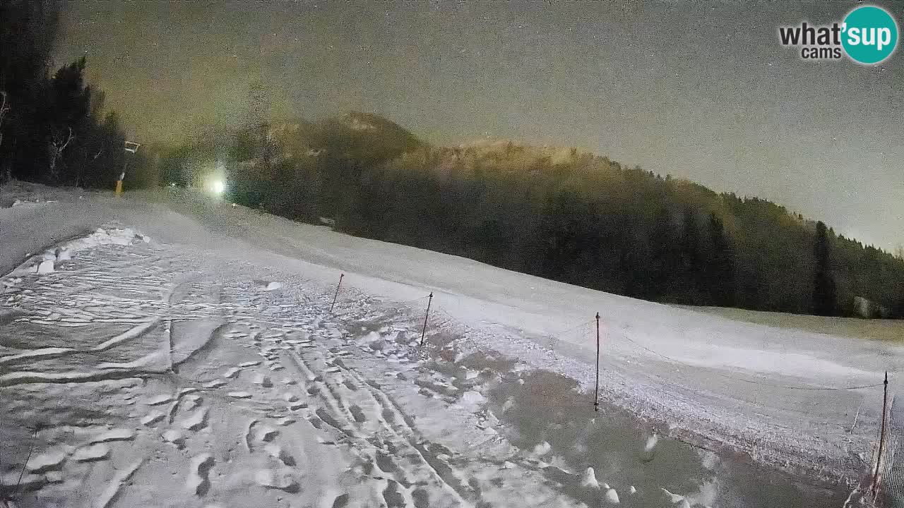 Kranjska Gora SKIJANJE | Brsnina