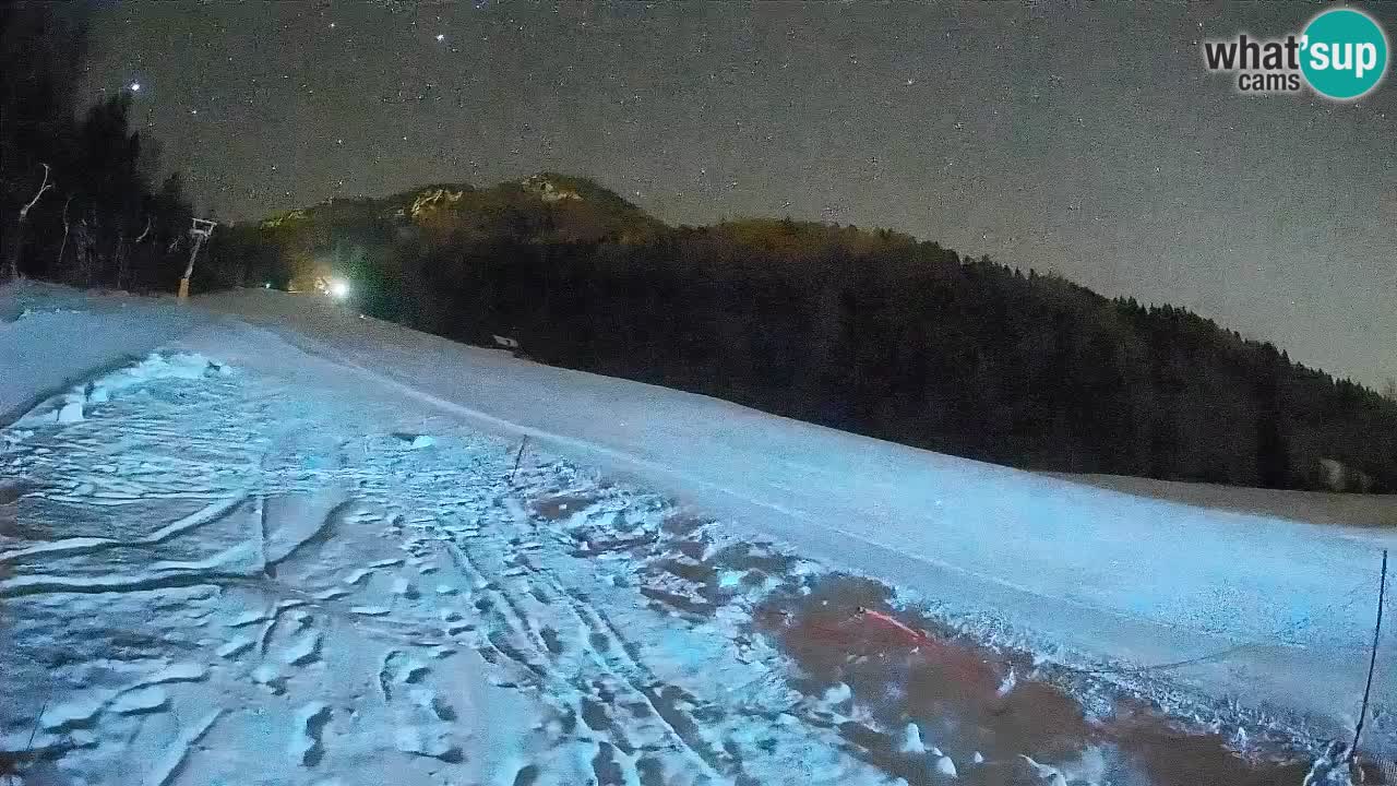 Kranjska Gora SKIJANJE | Brsnina
