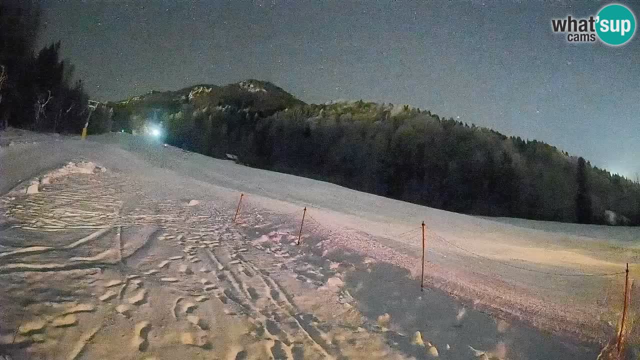 Kranjska Gora SKIJANJE | Brsnina