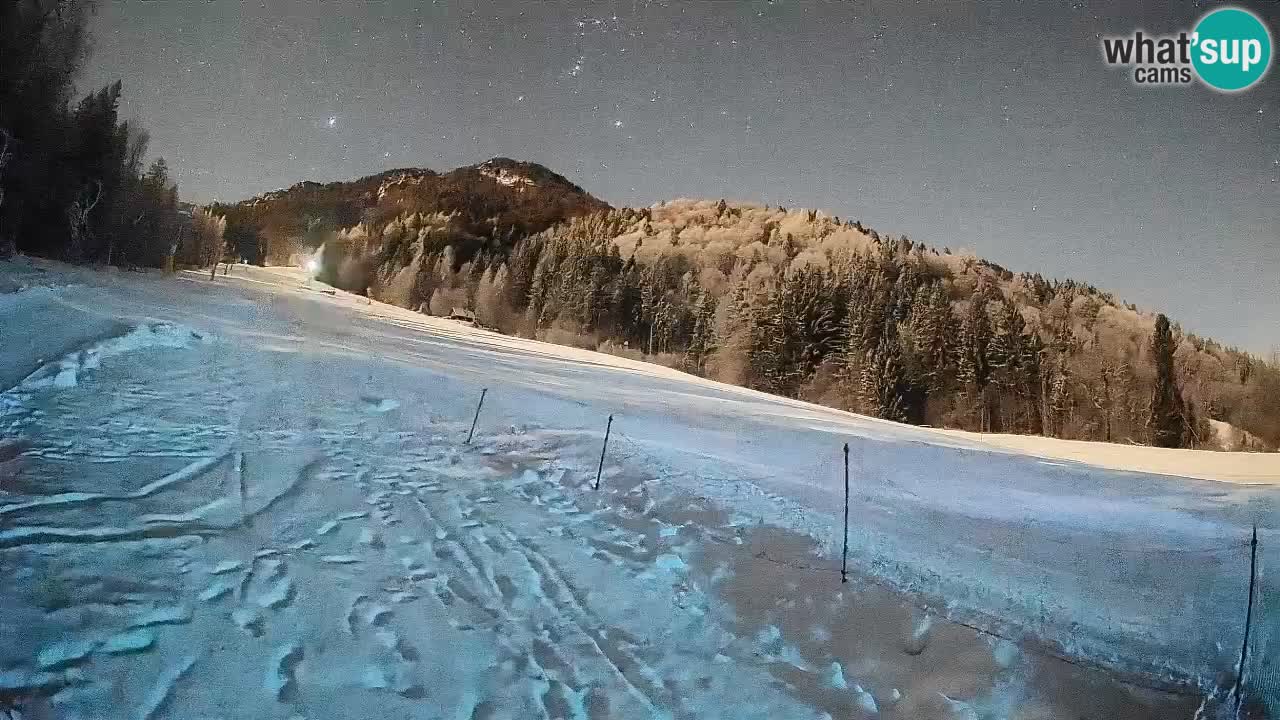 Kranjska Gora Station de ski | Brsnina