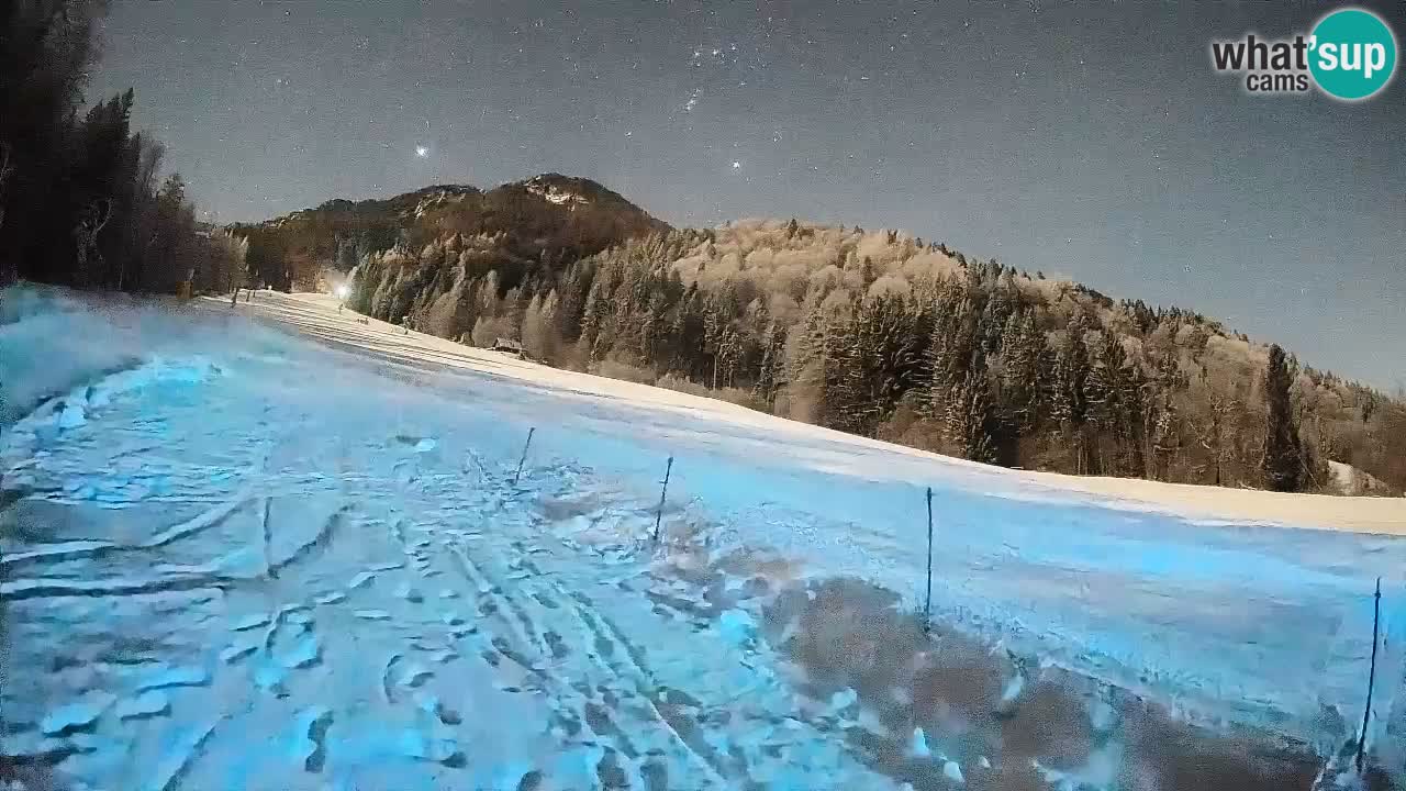 RTC Kranjska Gora | Brsnina