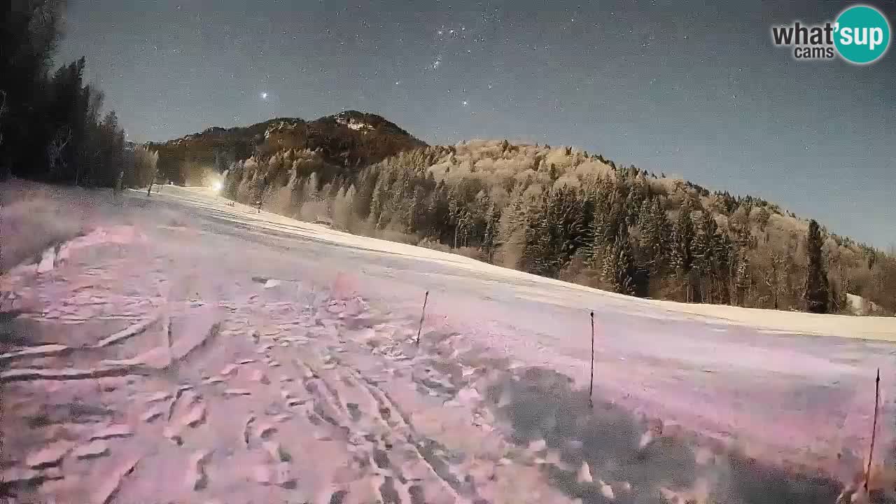 RTC Kranjska Gora | Brsnina