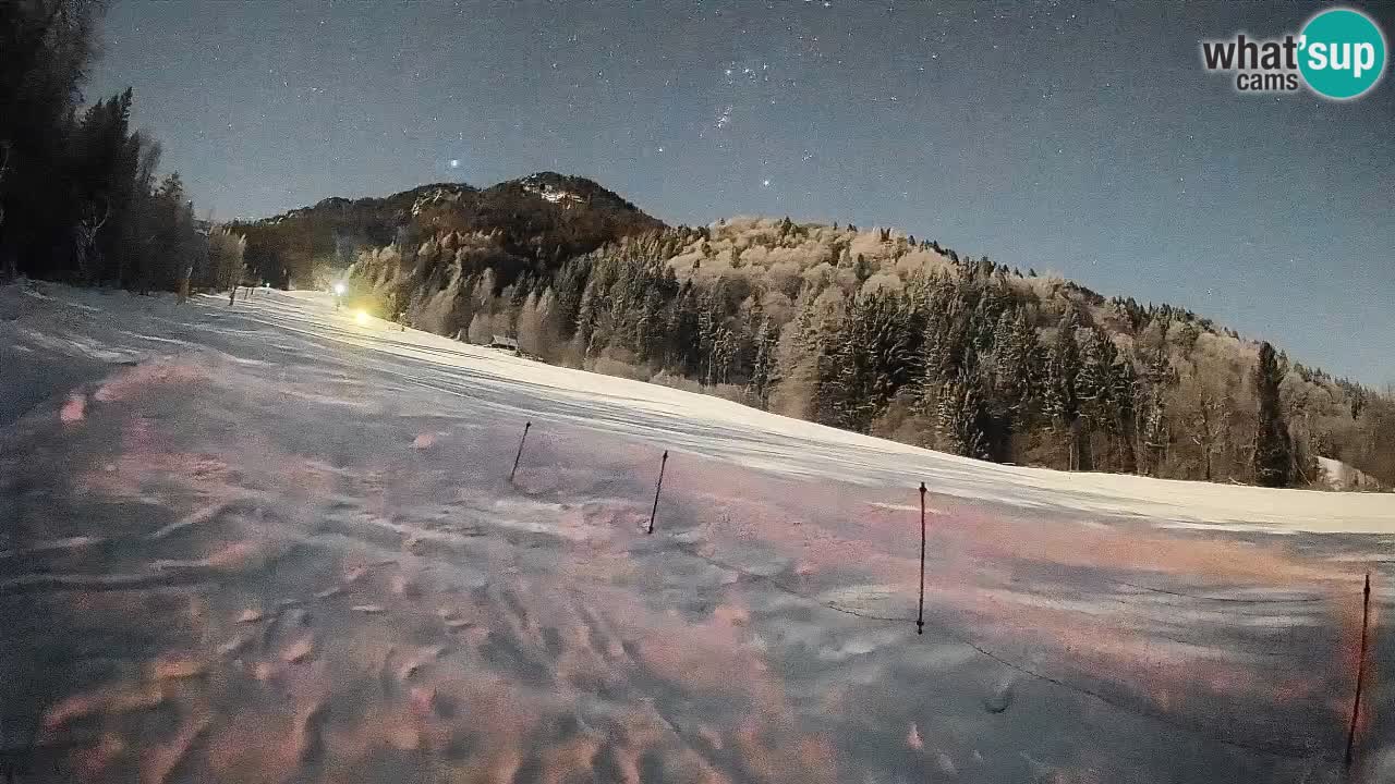 Ski Kranjska Gora | Brsnina