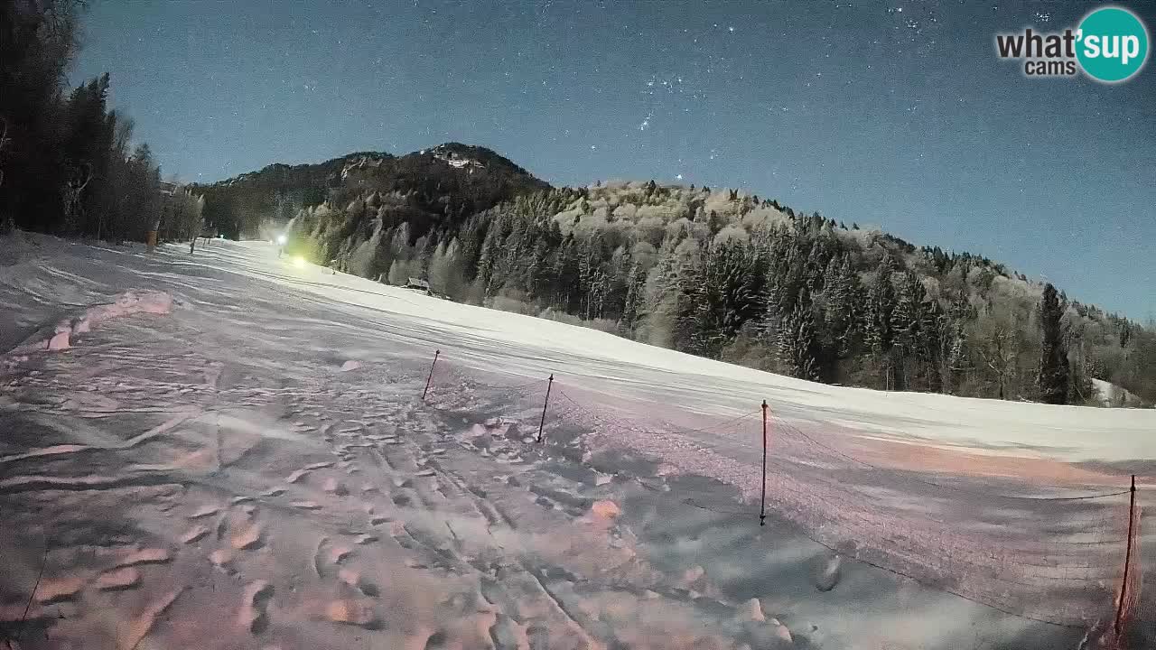 Ski Kranjska Gora | Brsnina