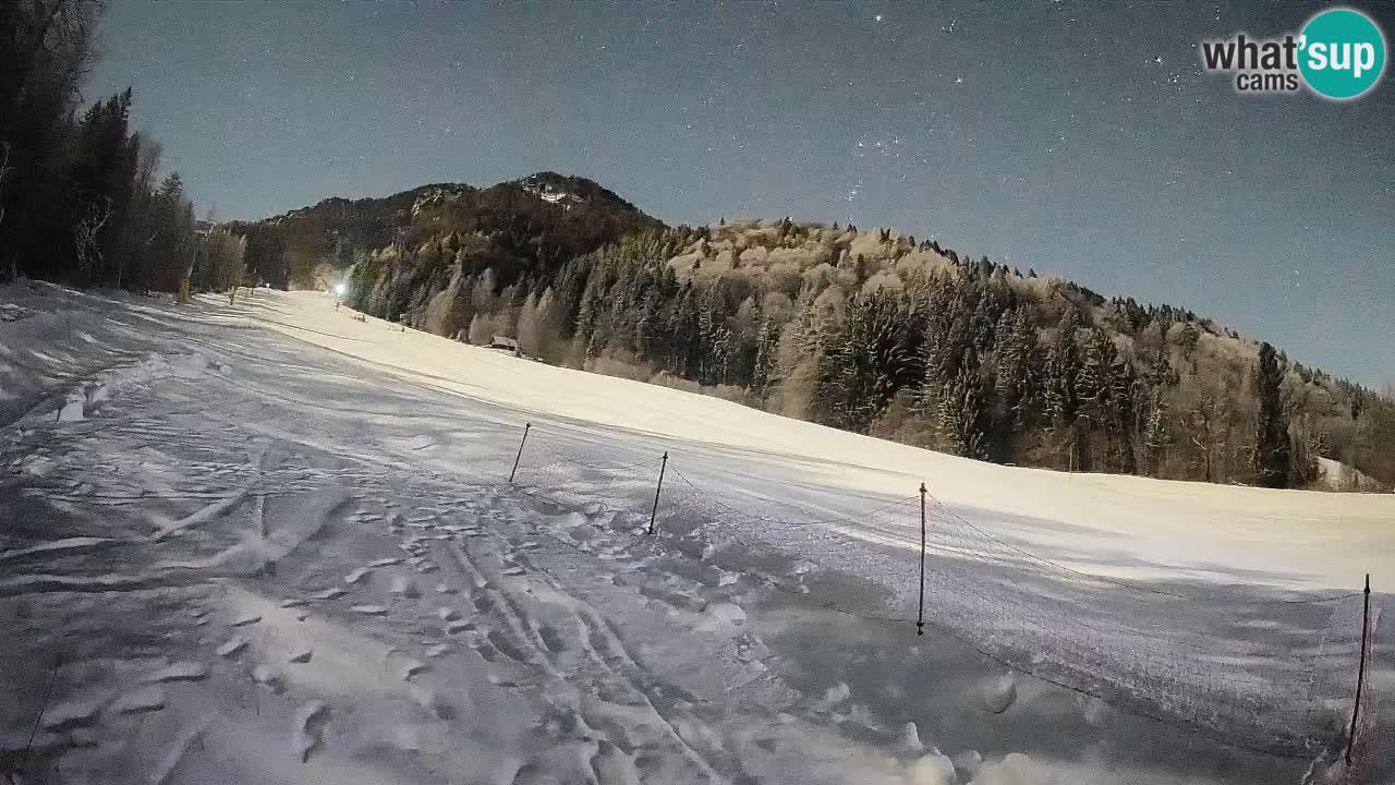 Ski Kranjska Gora | Brsnina