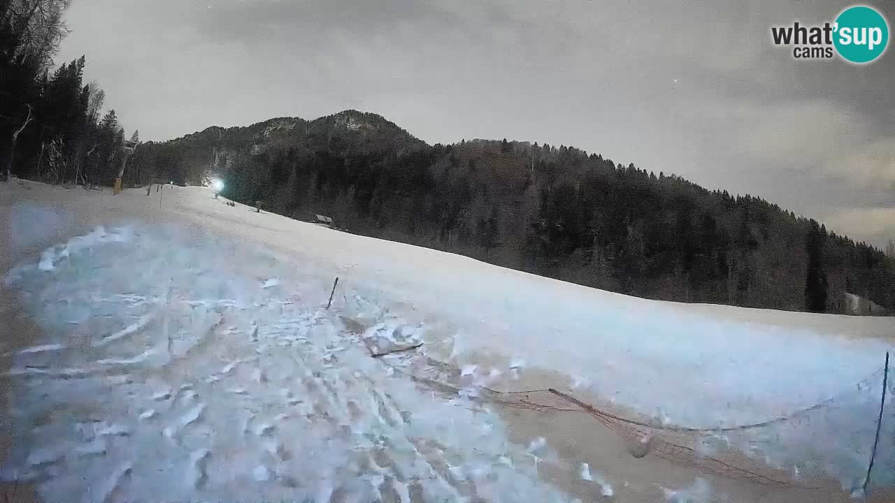 Kranjska Gora Station de ski | Brsnina