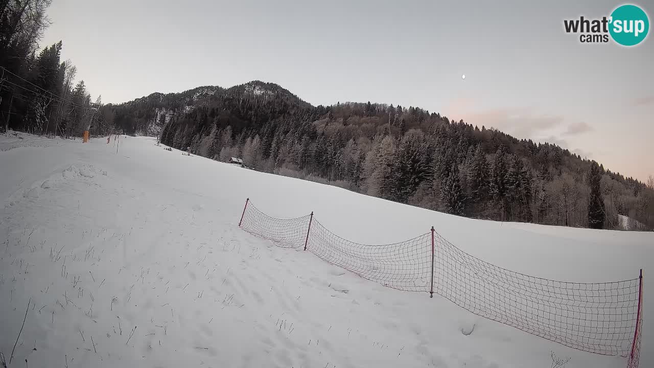 Kranjska Gora SKIJANJE | Brsnina
