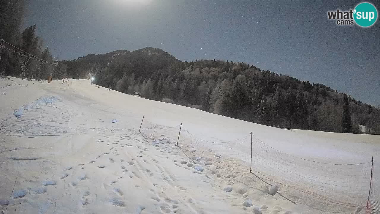Esquí Kranjska Gora | Brsnina