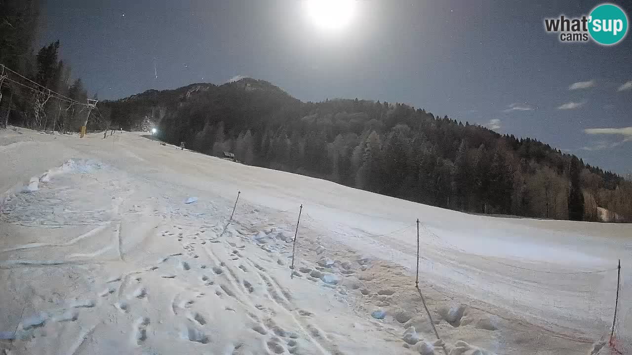 Kranjska Gora Station de ski | Brsnina