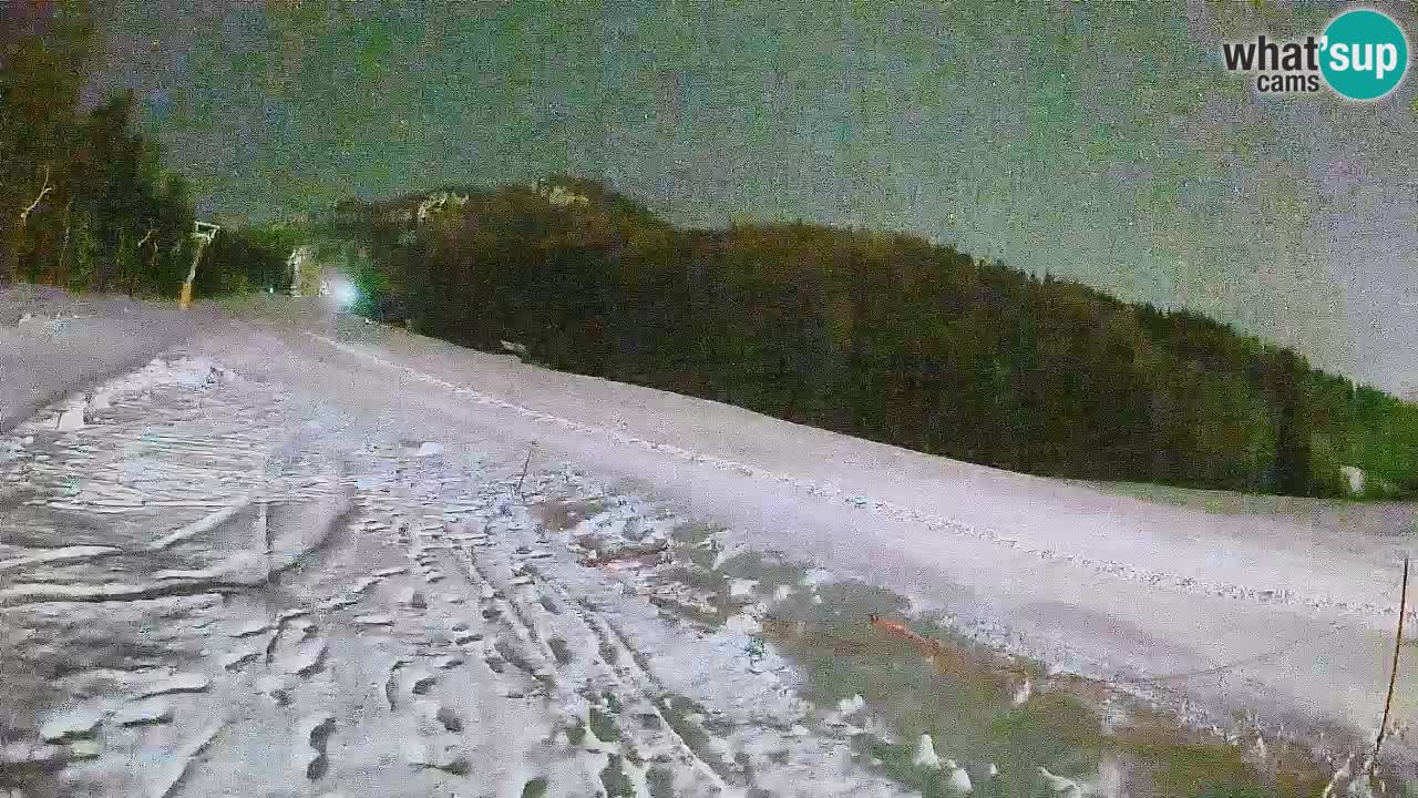 Ski Kranjska Gora | Brsnina