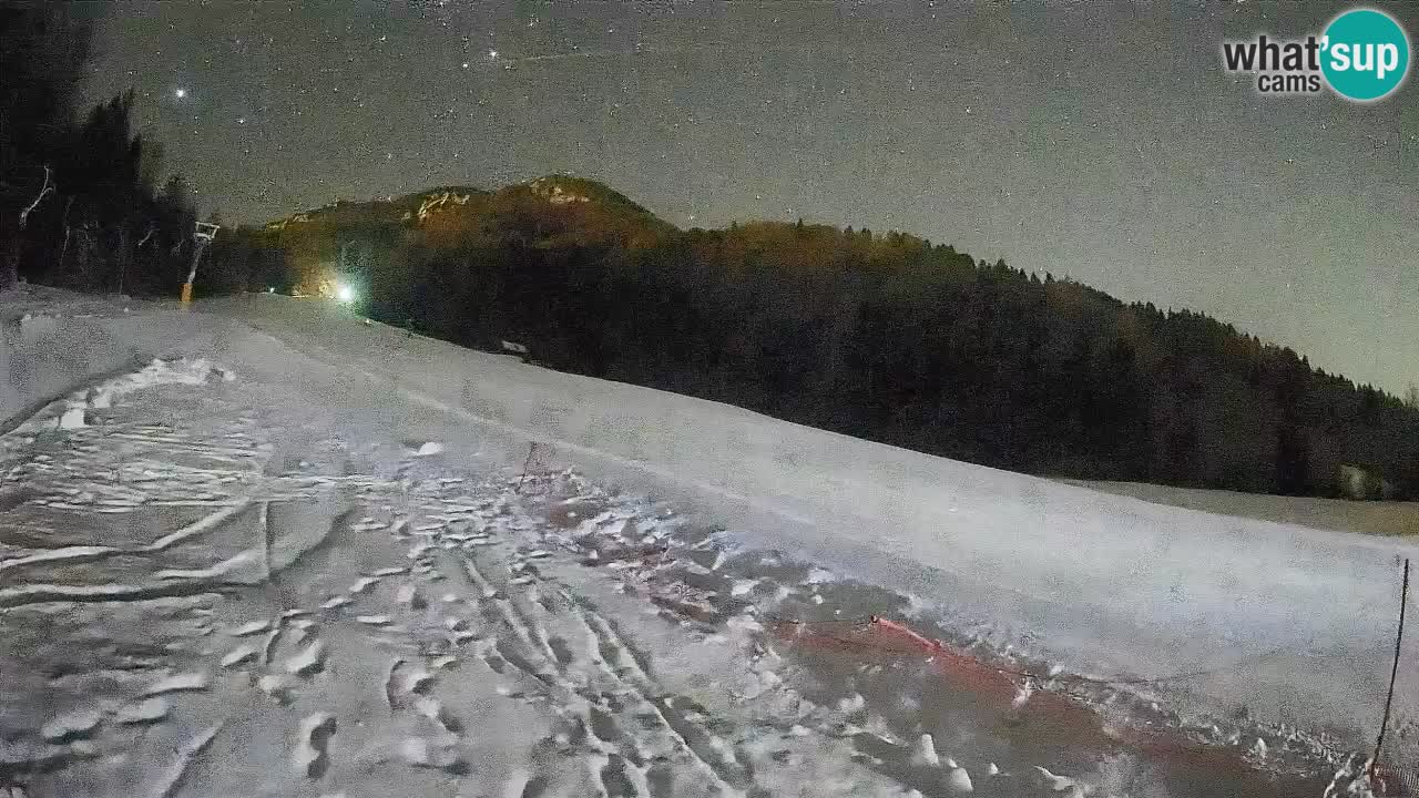 Ski Kranjska Gora | Brsnina