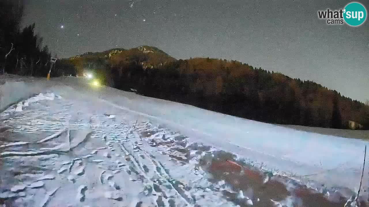 Kranjska Gora Station de ski | Brsnina