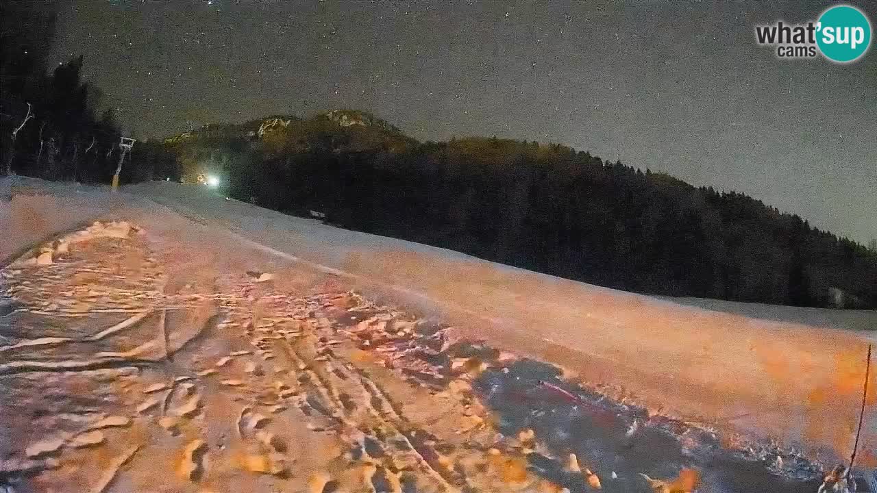 Kranjska Gora SKIJANJE | Brsnina