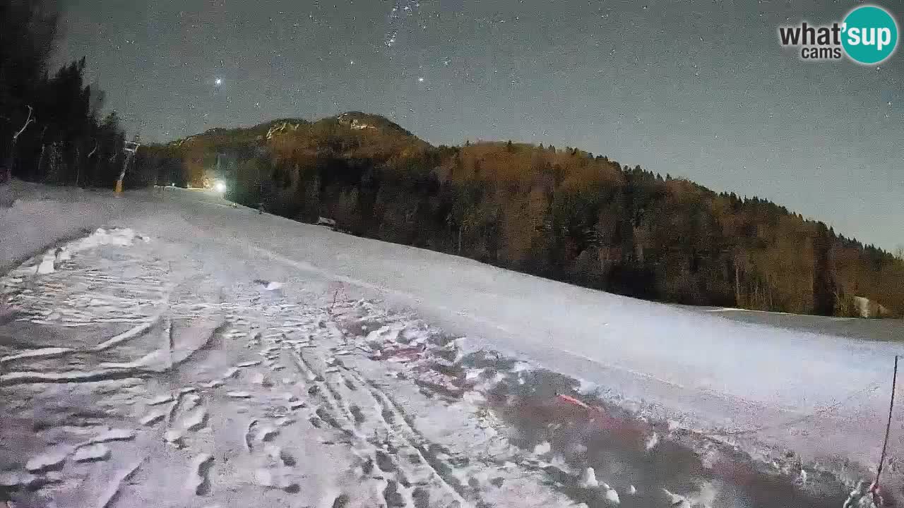 Ski Kranjska Gora | Brsnina