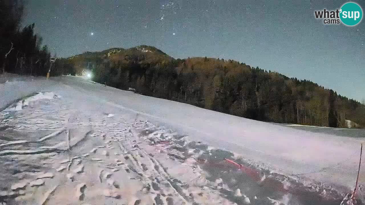 Kranjska Gora Station de ski | Brsnina