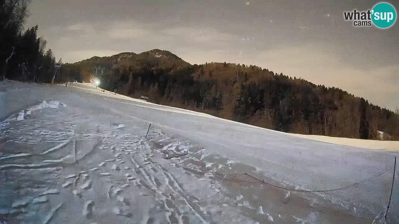 RTC Skigebiet Kranjska Gora | Brsnina