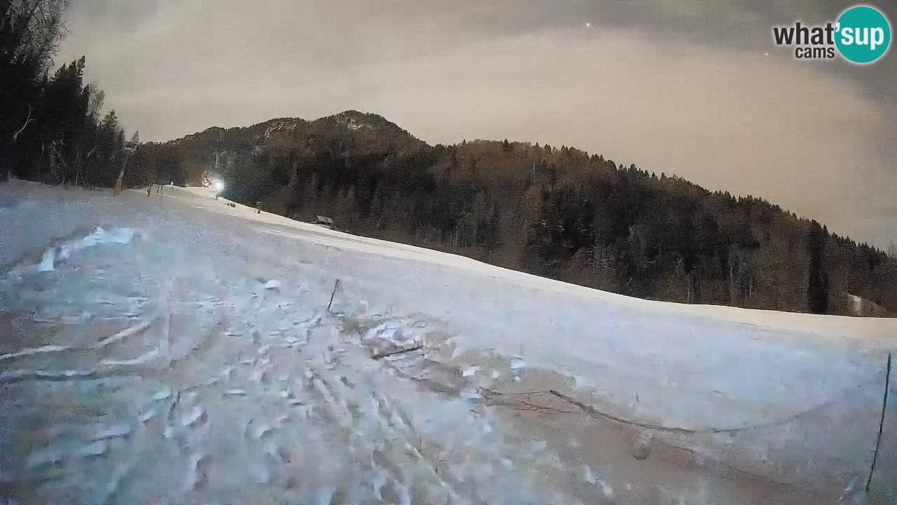 RTC Kranjska Gora | Brsnina