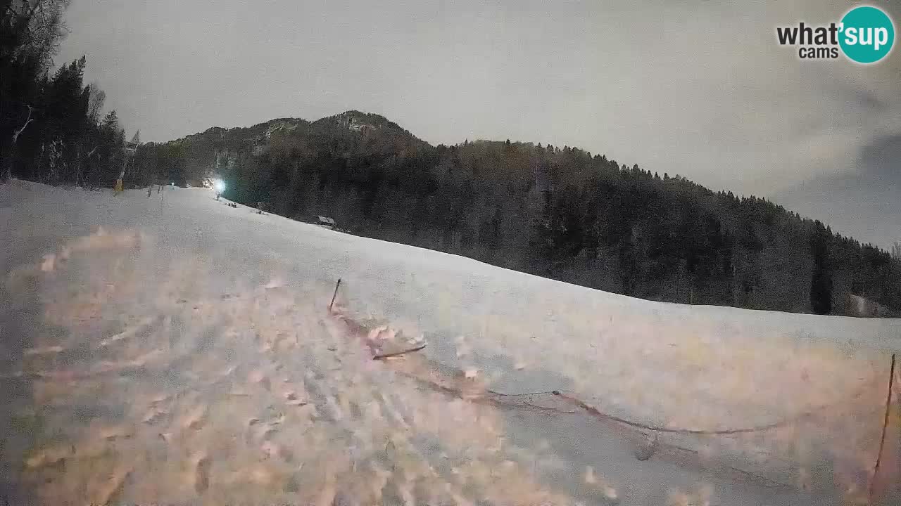 Comprensorio sciistico Kranjska Gora | Brsnina