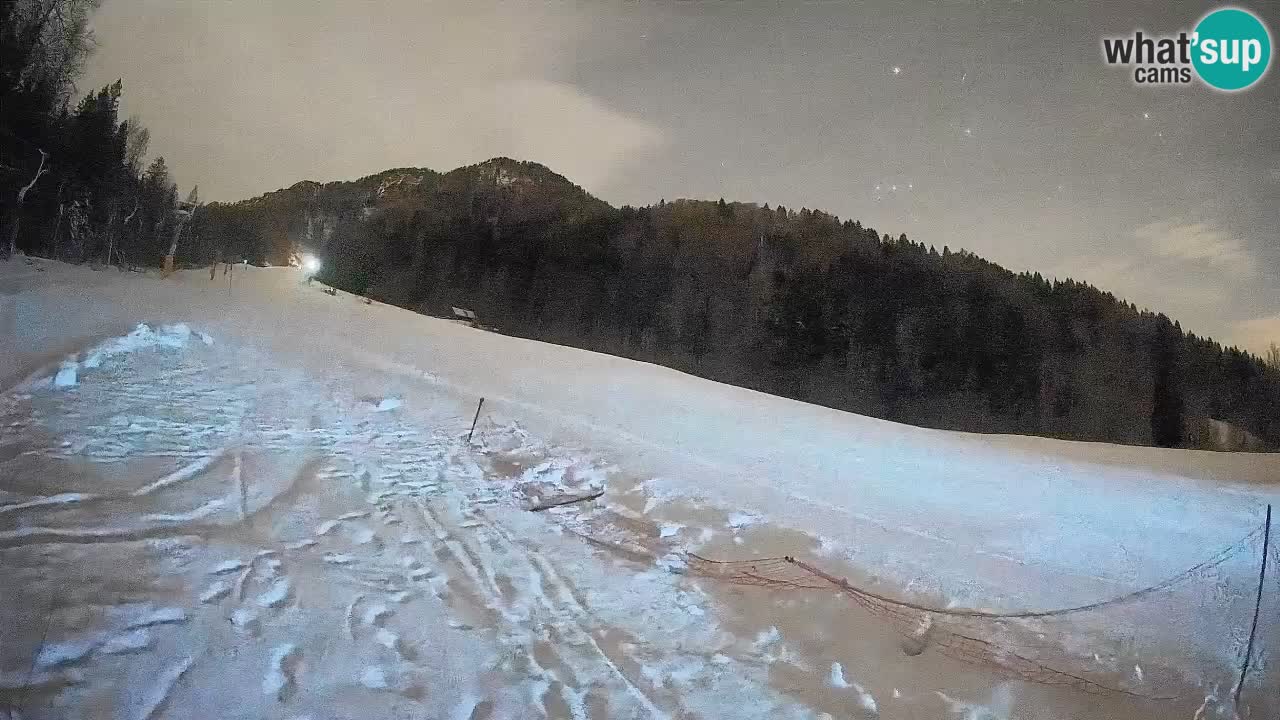 RTC Skigebiet Kranjska Gora | Brsnina