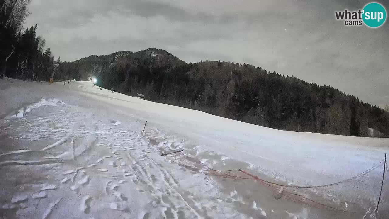 Ski Kranjska Gora | Brsnina