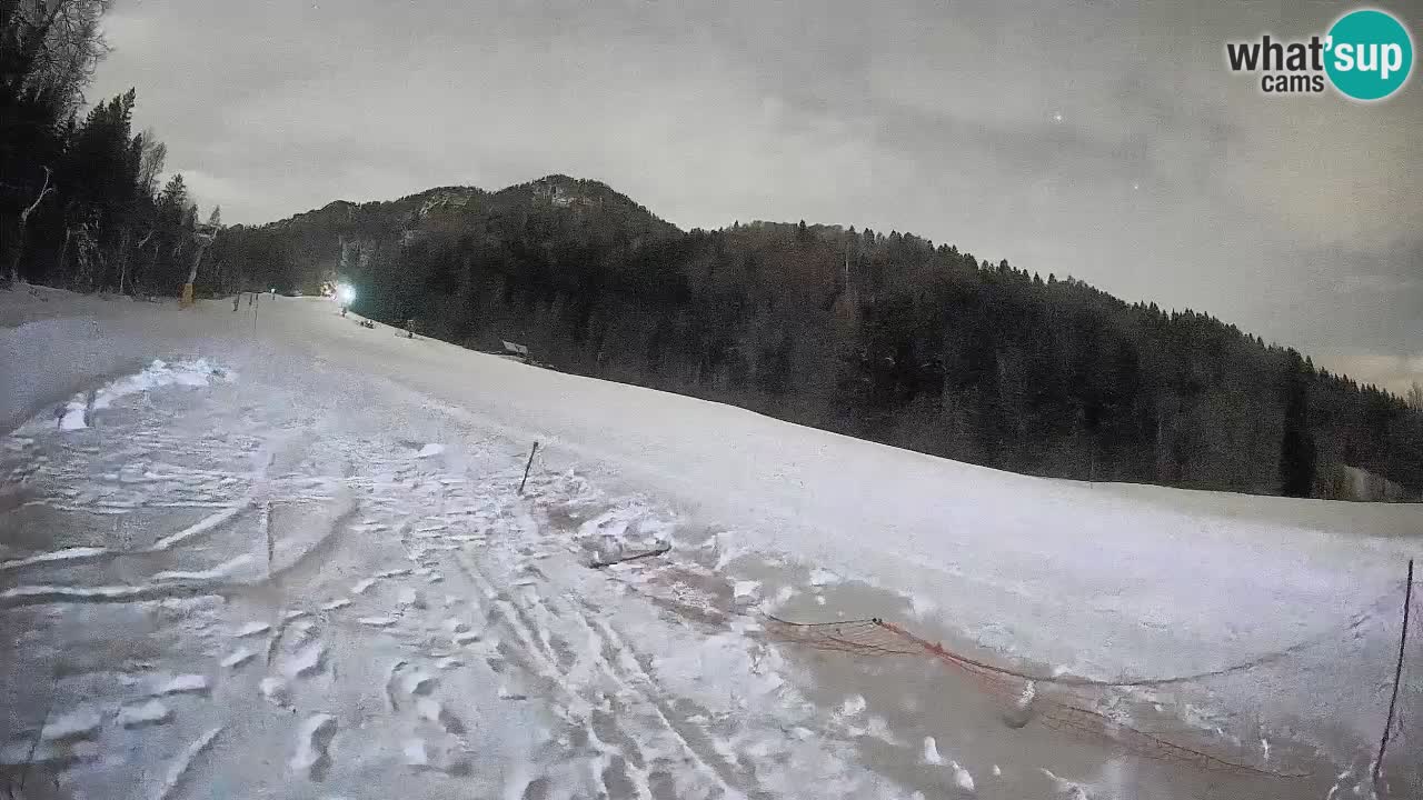 Esquí Kranjska Gora | Brsnina