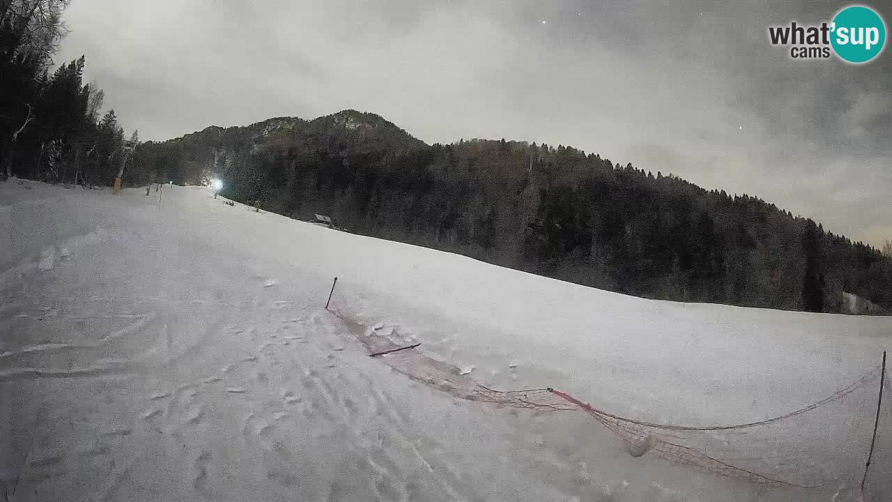 Ski Kranjska Gora | Brsnina