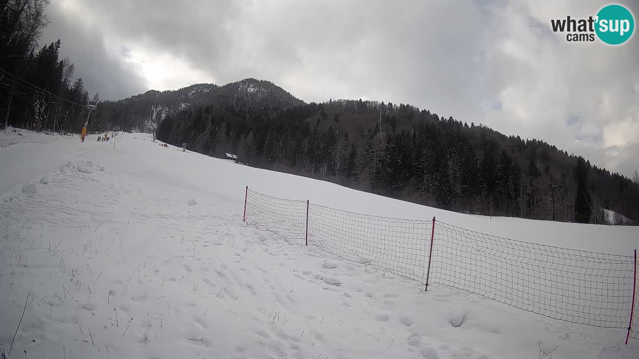 RTC Kranjska Gora | Brsnina